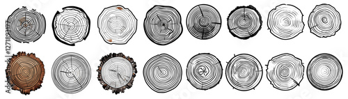 Tree ring wood circle set, hand drawn wood texture, organic slice design, vector wood pattern, line ripple circle, tree ring illustration, nature texture, wood design art
