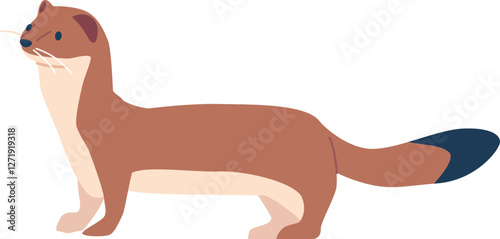 Arctic ferret rodent animal vector illustration