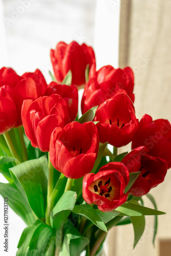 beautiful red tulips on a light background in a vase