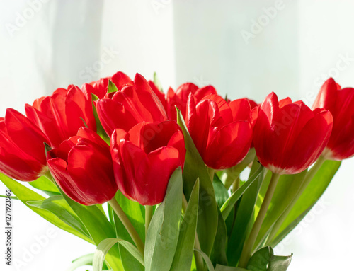 beautiful red tulips on a light background in a vase