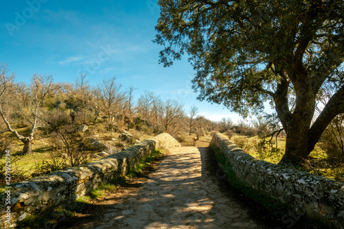 Foto Old bridge called 'Puente del Canto' in Valonsadero park in Soria, Spain