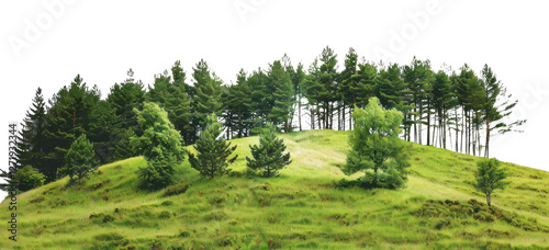 PNG Pine-covered hills landscape scenery nature.