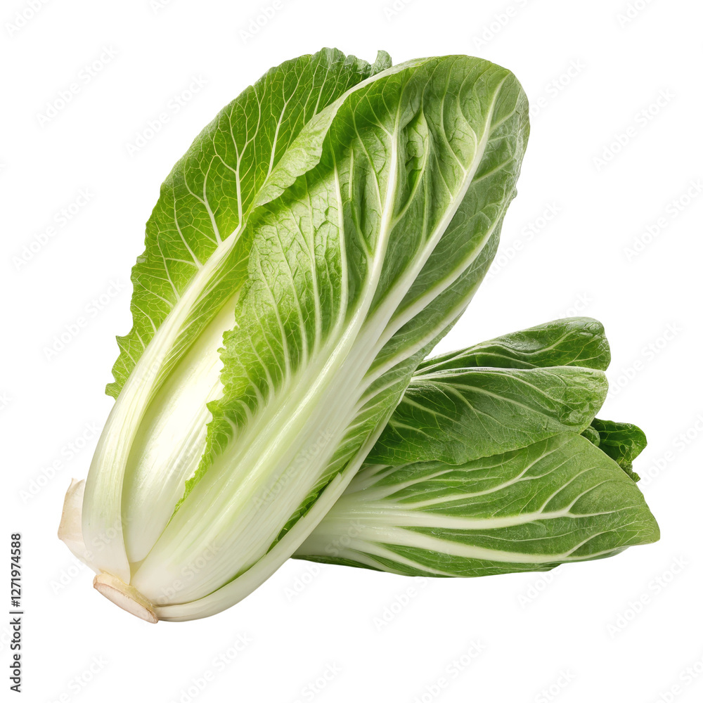 Two Bok Choy Isolated on Transparent Background, Vegetable, Green, Fresh, Bok Choy, Produce, Food Two Bok Choy Isolated on Transparent Background, Vegetable, Green, Fresh, Bok Choy, Produce, Food