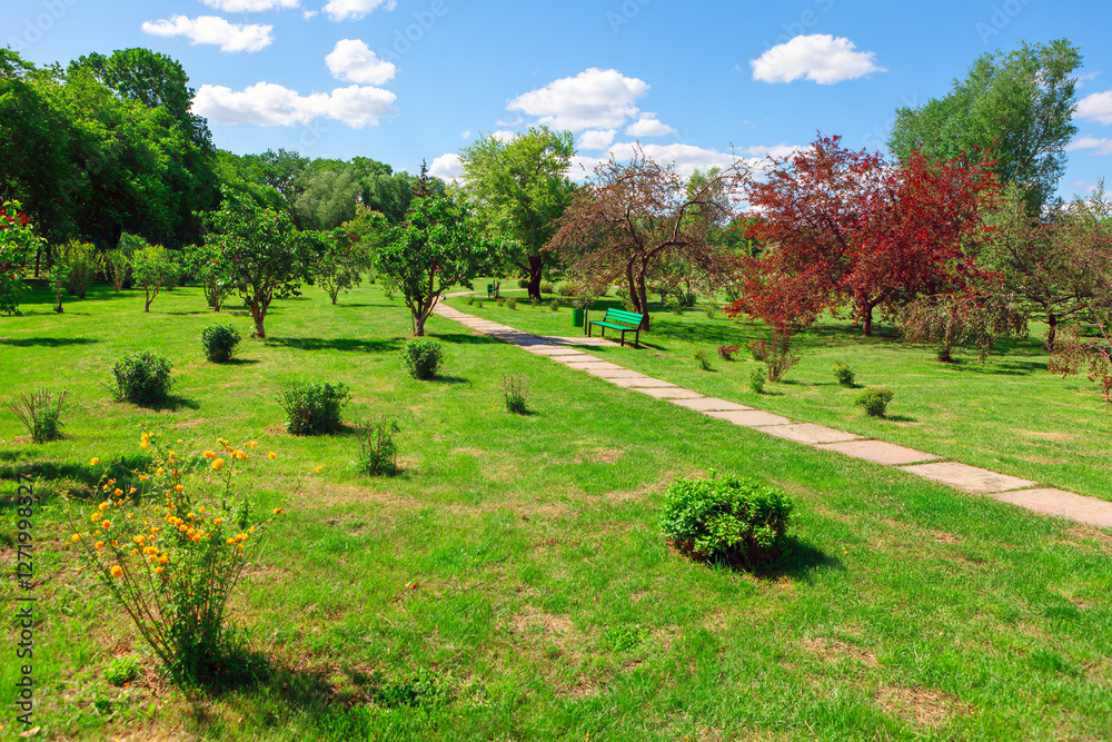 Spring park with a paved walkway leading through a grassy area dotted with various bushes and trees. Green bench is situated along the path, providing a place to sit and enjoy the serene environment