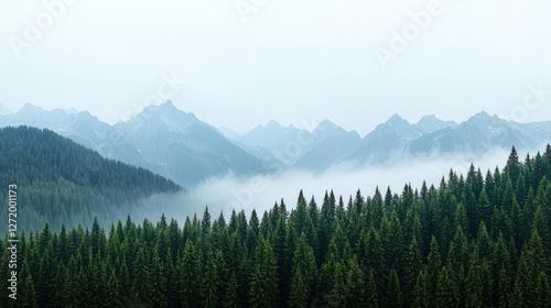 Misty Mountain Range with Foggy Valley and Lush Green Forest