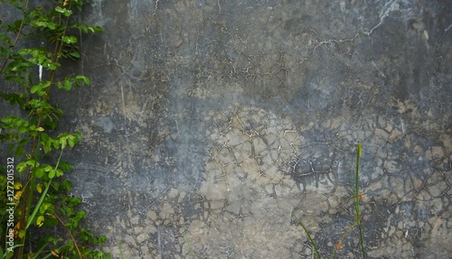 Wallpaper Mural gray wall with wild plants growing on it, perfect for your background Torontodigital.ca