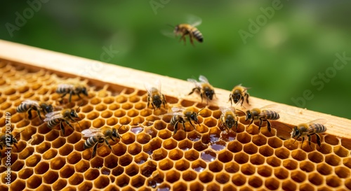 Honey bees on a frame with honeycomb filled with honey.  Details of bee structure and honeycomb structure can be seen. Topics: beekeeping, honey, pollination, health benefits, ecosystem.