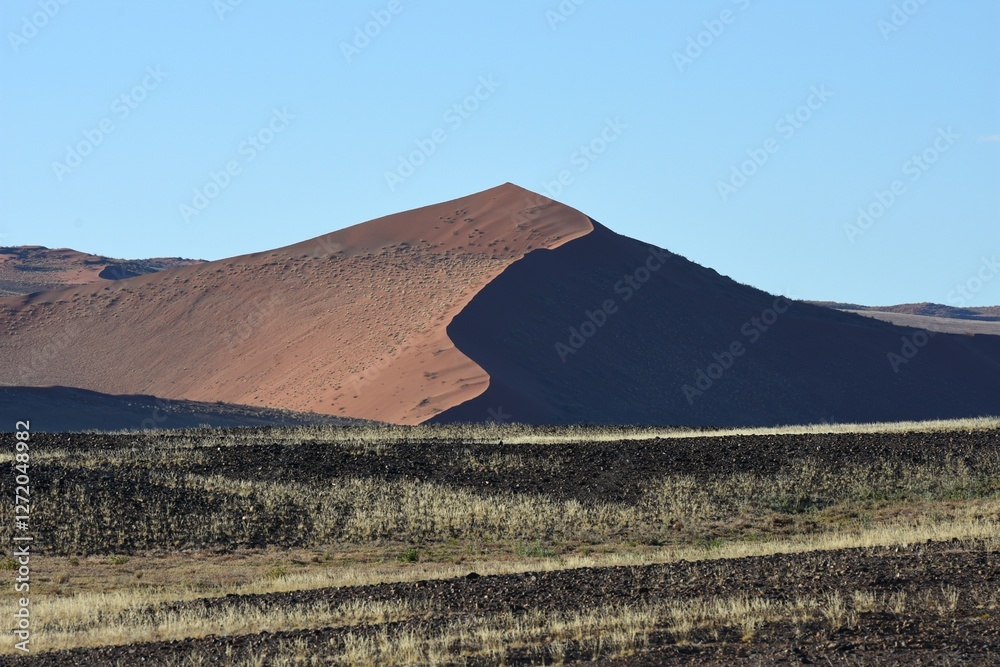 Sanddünen der Namib im Abendlicht in Namibia Sanddünen der Namib im Abendlicht in Namibia