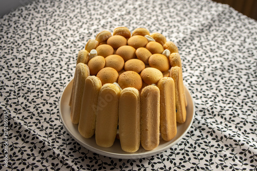 Delicious summer dessert with whipped and sour cream covered with baked sponges, tasty cold cake for hot summer days