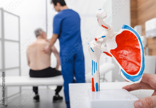 Anatomical model of the shoulder standing on orthopedist table in medical office during consultation of senior man with shoulder arthritis. Treatment of arthritis and arthrosis
