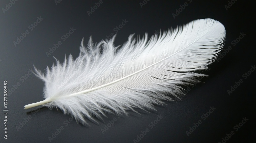 Obraz premium A refined white feather lays softly on a contrasting black background, highlighting its intricate structure and the serene beauty of nature's design, evoking a sense of calm and grace