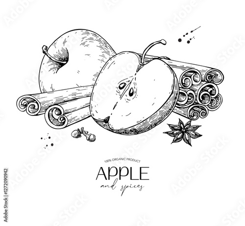 Apple and cinnamon vector drawing. Fruit and spices sketch. Whole and sliced apple, cinnamon sticks, cloves, star anise.