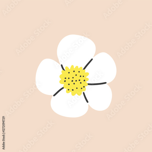 Abstract white blooming flower bud on  isolated background