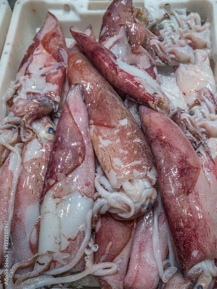 Fresh squids on a local food market, Murci, Spain Fresh squids on a local food market, Murci, Spain