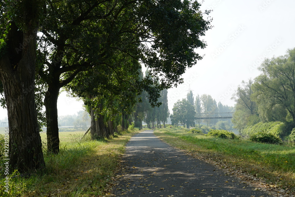 Silesia lakes relax summer day chill Silesia lakes relax summer day chill