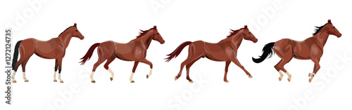 Horse run cycle