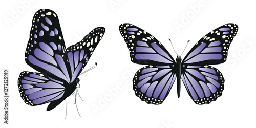 Vector butterfly in two angles with wide wings of a charming purple color. Colorful moth with colorful pattern. Abstract wings. Exotic moth decor. Elegant flying insect