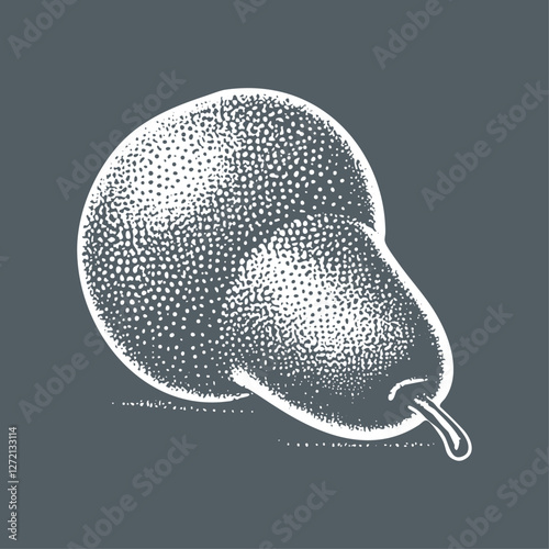 Hand drawn Pear Illustration. Block stamp stipple engraving style vector illustration on dark background.