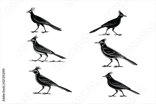 A black silhouette of a crested lark standing.