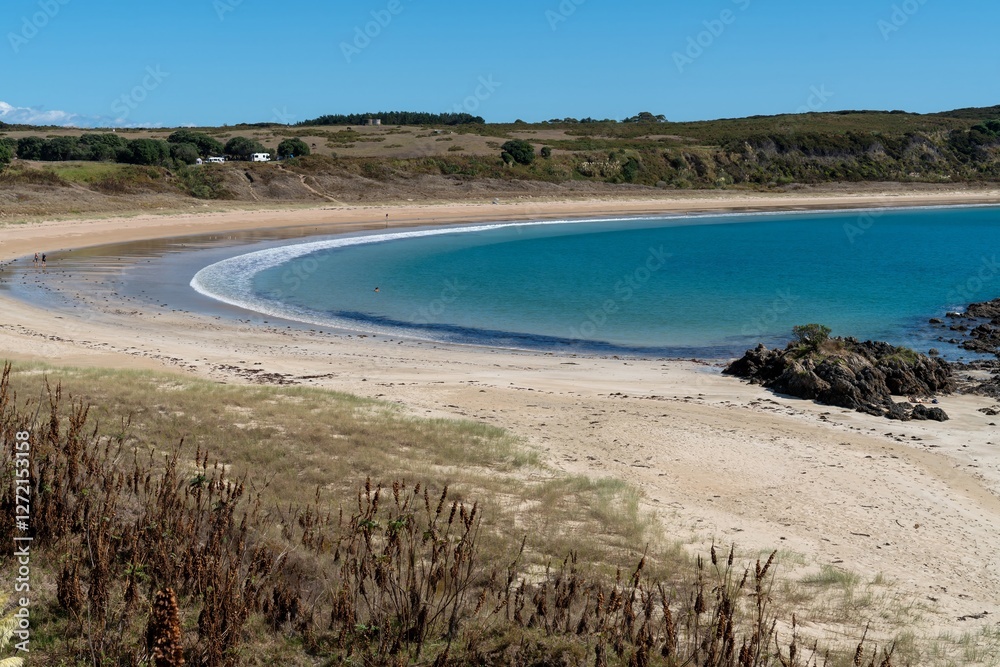 Tranquil beach scene; people relax on the sand, enjoy the turquoise water. Sunny day at a secluded bay. Matai Bay, Karikari Peninsula, Northland, NZ Tranquil beach scene; people relax on the sand, enjoy the turquoise water. Sunny day at a secluded bay. Matai Bay, Karikari Peninsula, Northland, NZ