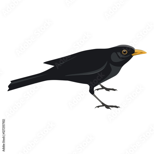 Songbird thrush or blackbird. Vector illustration isolated on a white background