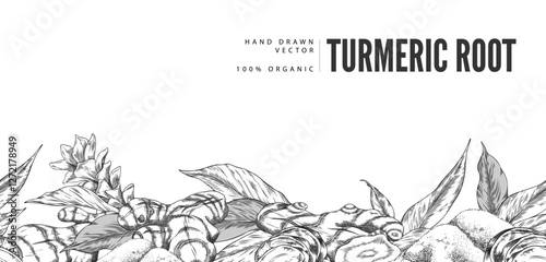 Banner with monochrome seamless leaves, flowers, turmeric tubers along the bottom border.