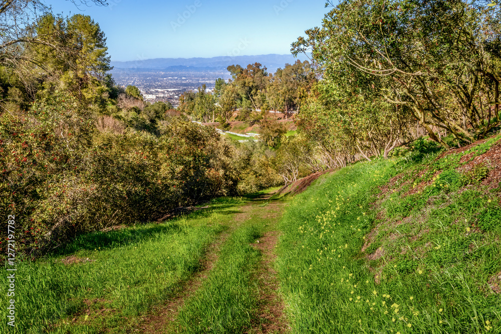 Countryside setting in an environment of greenery, foliage, views and trails, located in Rolling Hills CA Countryside setting in an environment of greenery, foliage, views and trails, located in Rolling Hills CA
