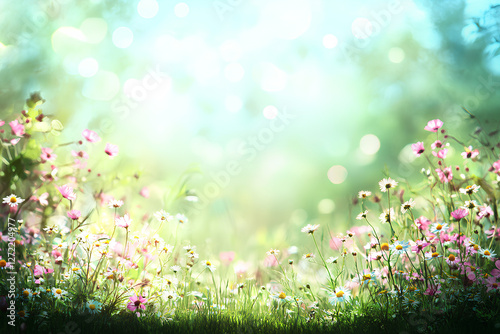 beautiful bucolic view whit flowers and lights bokeh background photo