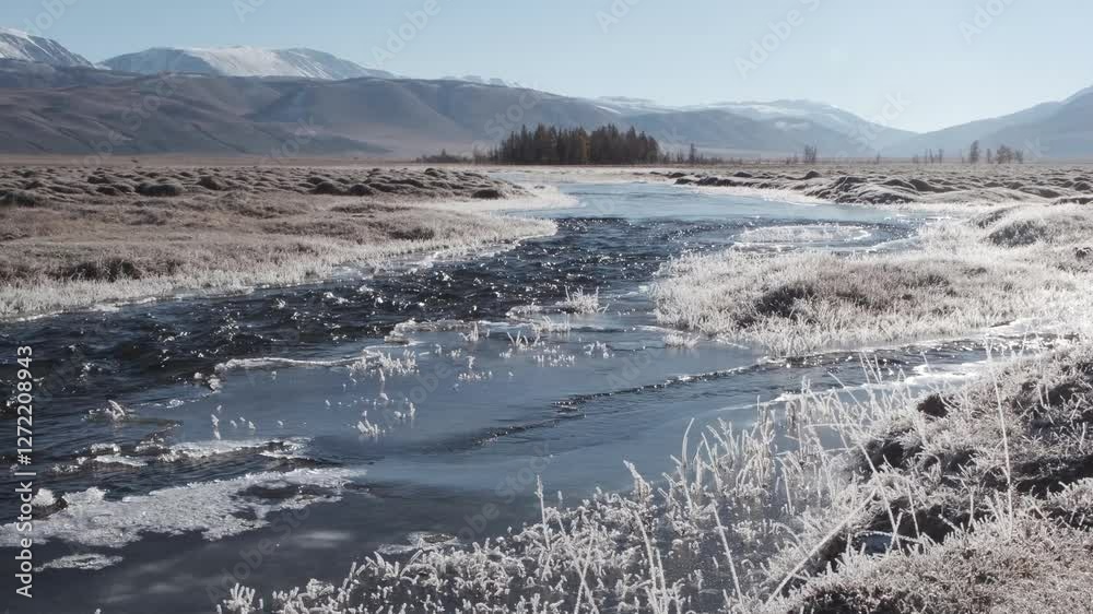 Fast-moving stream of narrow river runs along frozen banks on sunny day. Mountain landscape of autumn nature with melting ice islands and frosted grass in highland. Altai Fast-moving stream of narrow river runs along frozen banks on sunny day. Mountain landscape of autumn nature with melting ice islands and frosted grass in highland. Altai