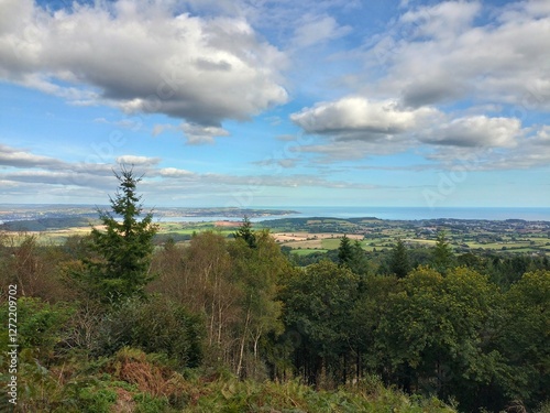 landscape with trees and clouds