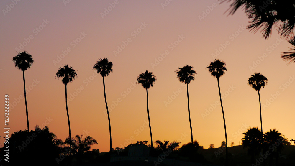 Obraz premium Line of Palms at Sunset