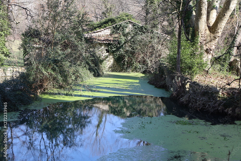 La rivière Cèze, village de Goudargues, département du Gard, France