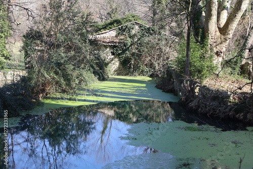 Obraz na płótnie La rivière Cèze, village de Goudargues, département du Gard, France w salonie
