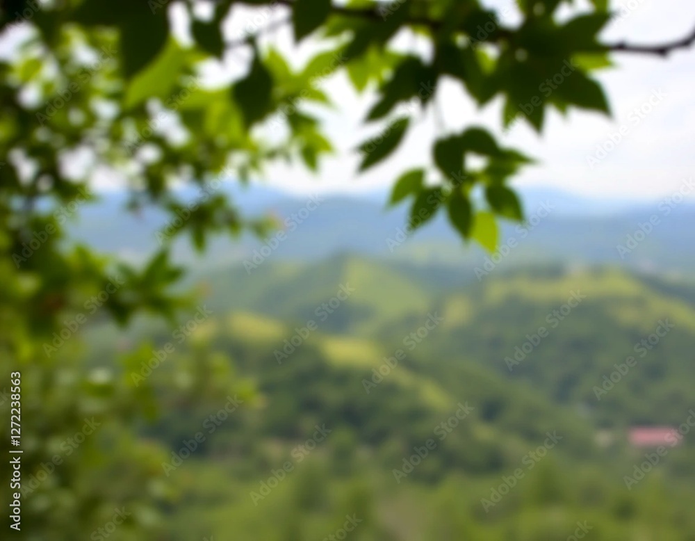 Obraz premium forest in the mountains,blurred view 