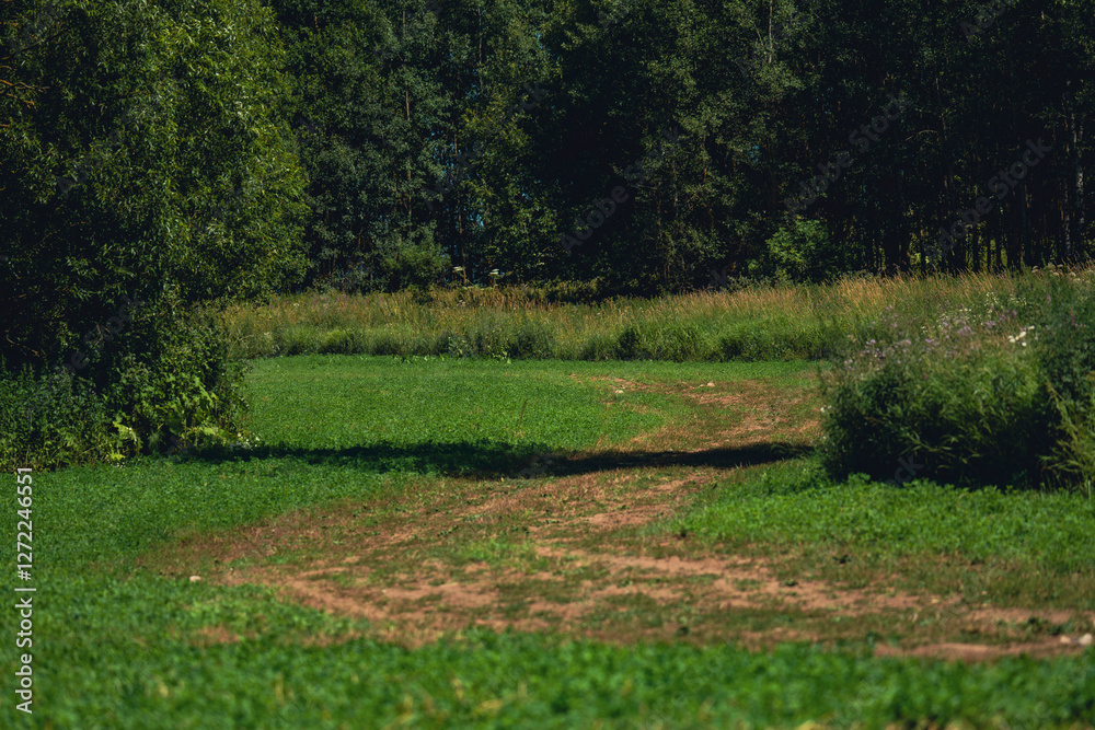 Fototapeta premium Dirt path through green meadow leading to forest edge