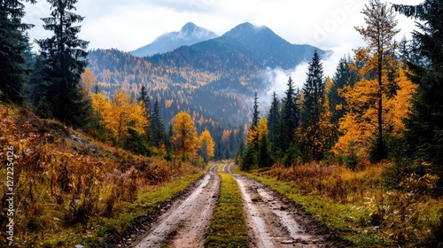 Autumnal mountain road, fog, yellow trees, travel