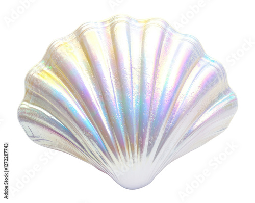 PNG White shell seashell beach invertebrate.