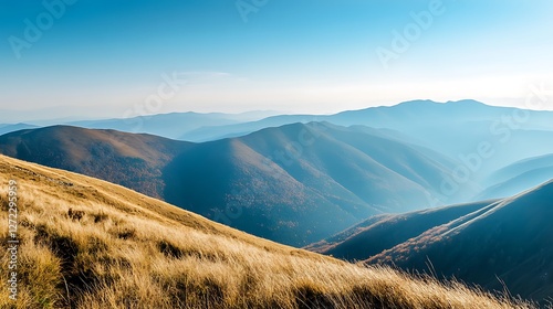 Golden Grasslands Overlooking Serene Blue Mountains