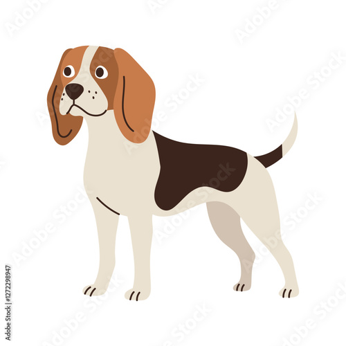 Cute beagle dog standing. Pet animal, breed. Isolated flat vector illustration