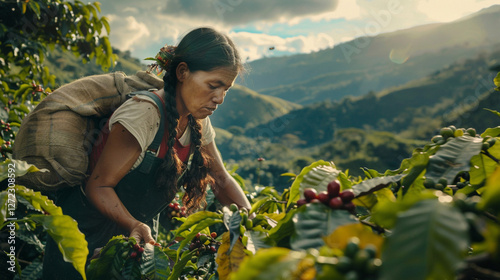 A coffee picker in Costa Rica navigates rugged hillsides, plucking ripe berries under the sun and carrying a sack that reflects the weight of her hard work and dedication.