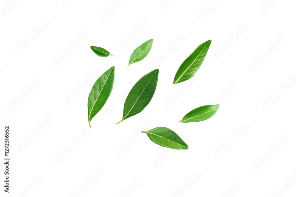 Bunch of green leaves are scattered across a white background, isolated Bunch of green leaves are scattered across a white background, isolated
