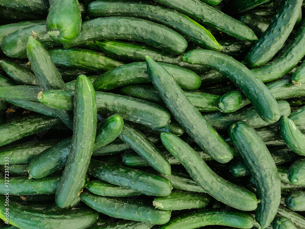 Japanese cucumbers are sold in supermarkets Japanese cucumbers are sold in supermarkets