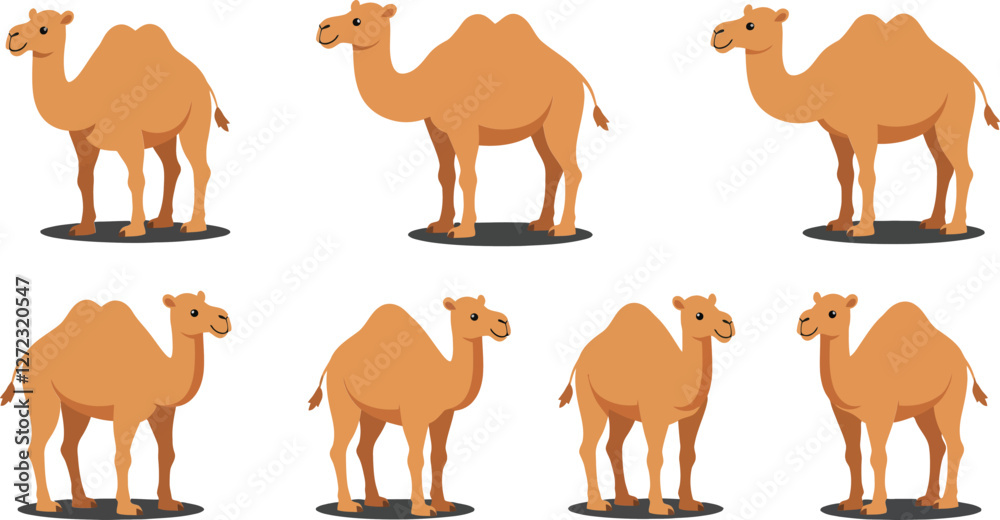 Camel character transformations in flat design style vector illustration Camel character transformations in flat design style vector illustration