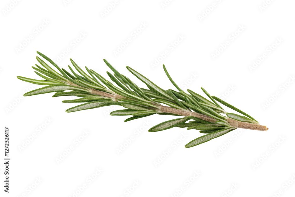 Fototapeta premium Green herb with a brown tip, isolated