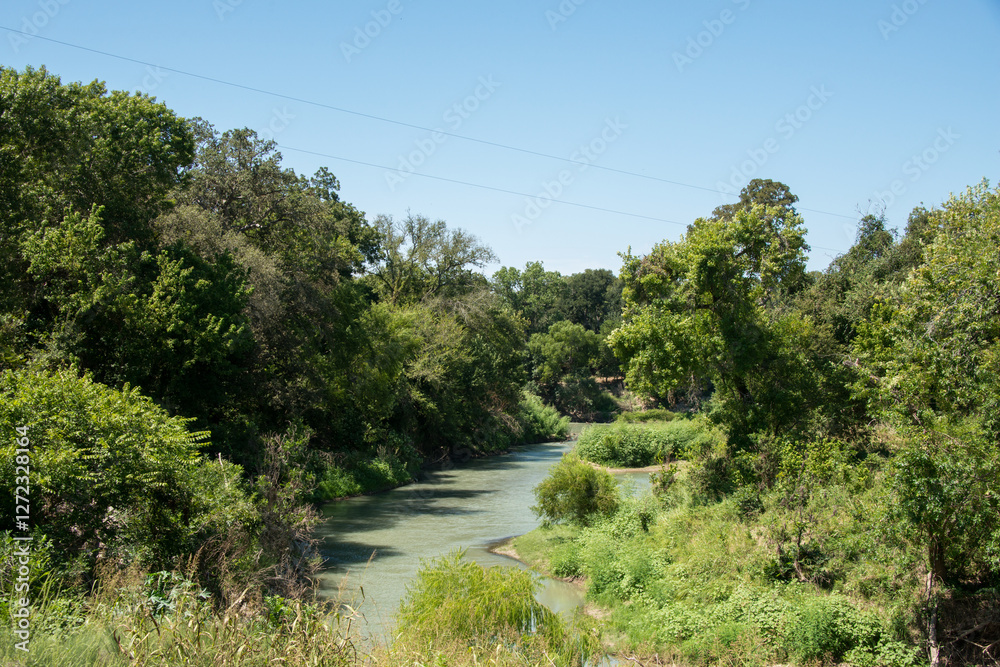 Palmetto State Park in Texas
