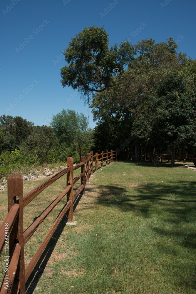 Palmetto State Park in Texas