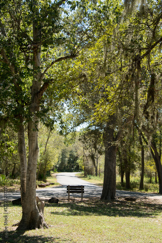 Obraz na płótnie Palmetto State Park in Texas w salonie