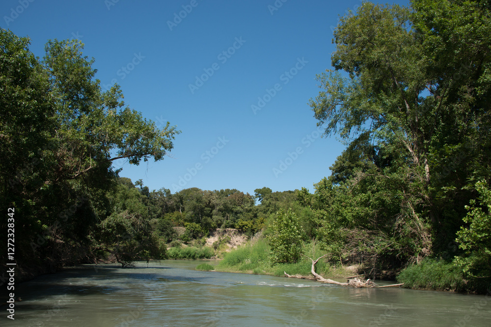 Palmetto State Park in Texas