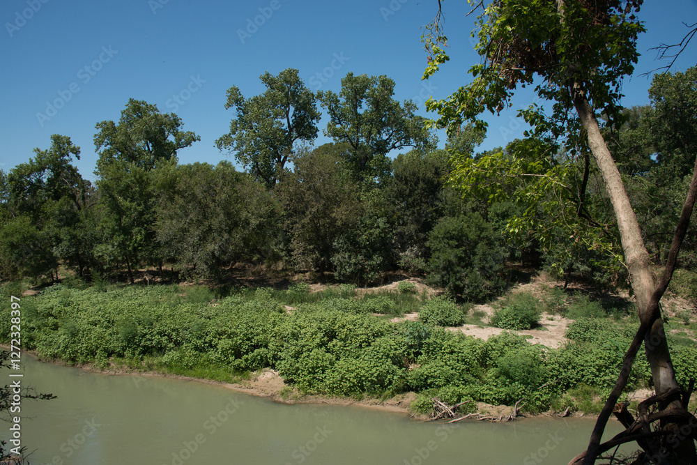 Palmetto State Park in Texas
