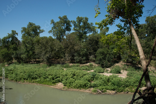Obraz na płótnie Palmetto State Park in Texas w salonie